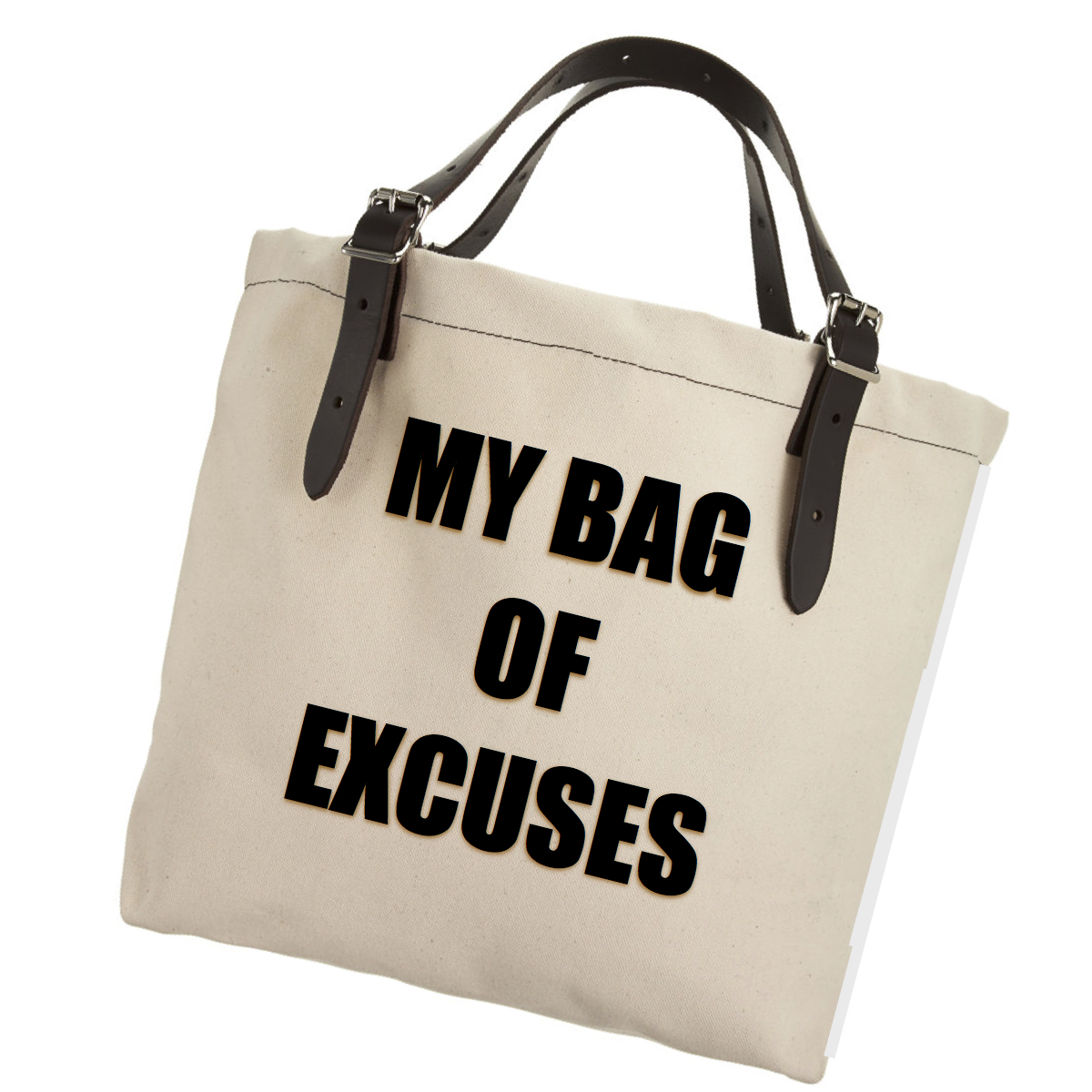 My Bag of Excuses