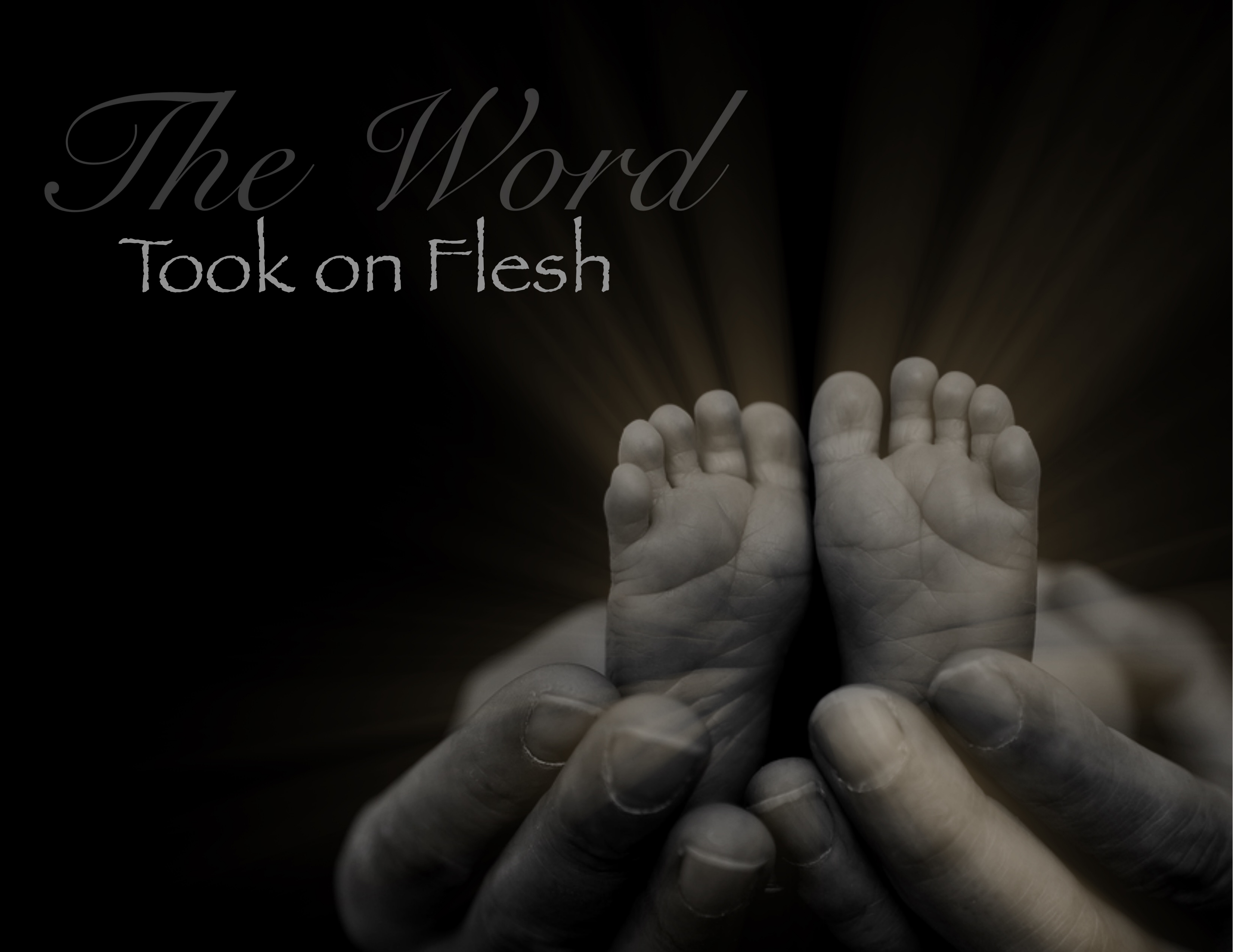 955AAE55-3B66-415E-9541-1A86D190E0A1