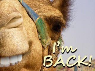 957C241D-B8E7-46BF-8629-AC931CE3266D